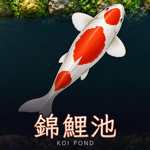 錦鯉池 Koi Pond